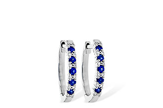 D199-77067: EARR .24 SAPP .30 TGW